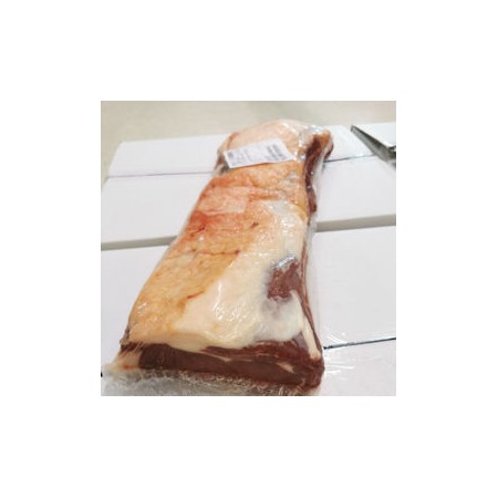 BA CONTROF.SCOTTONA S/INTE UNIKA UE